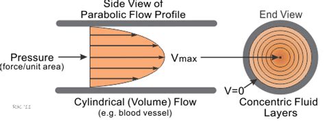 Within the circulatory system, velocity can be altered by changes in blood pressure, vessel resistance, and blood viscosity. . Parabolic blood flow